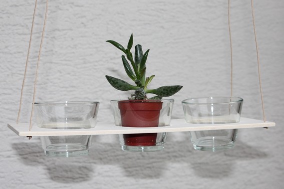 Pflanzenhänger MIT 3 Gläser